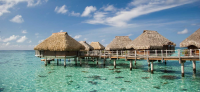 Buy Locally, Travel Globally